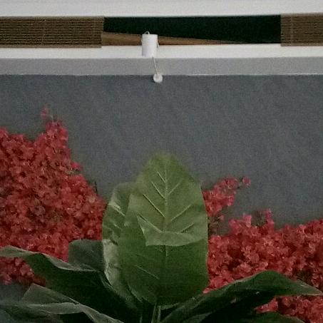 顺其自然