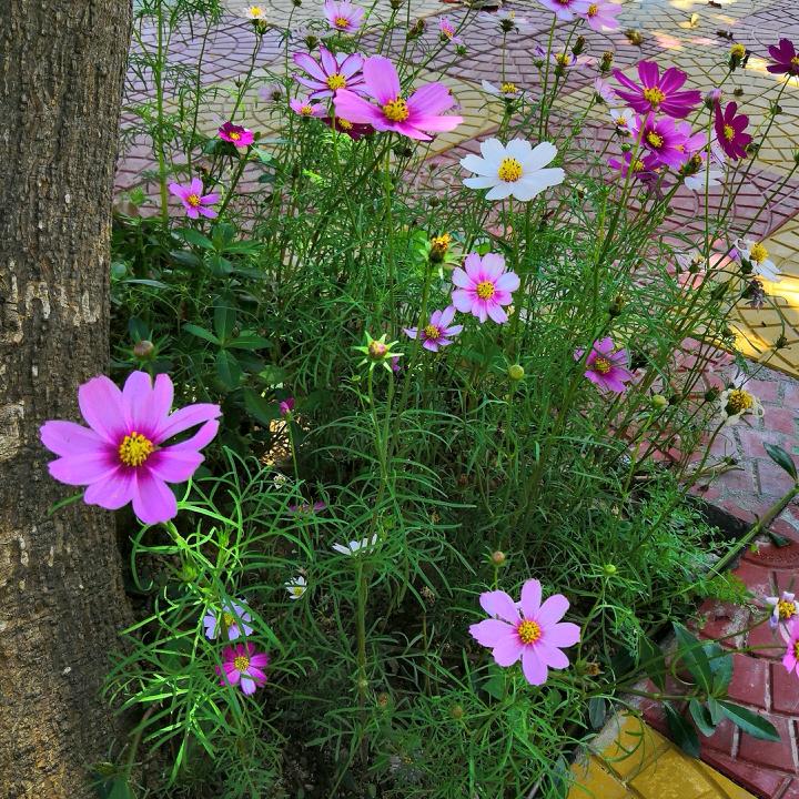 我爱我家，全家幸福健康