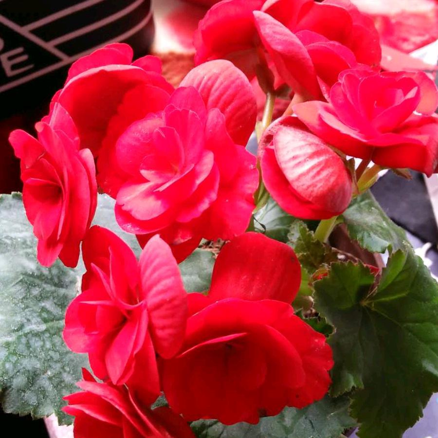 爱我的宝贝闺女