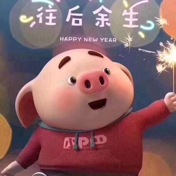 琴