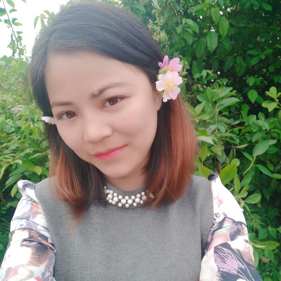 乡村红梅