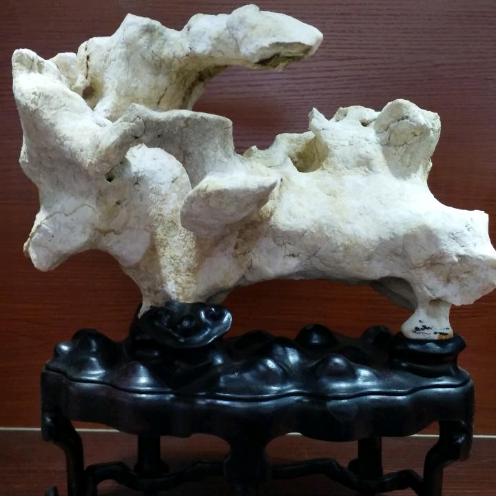 随缘68年7月🐒️