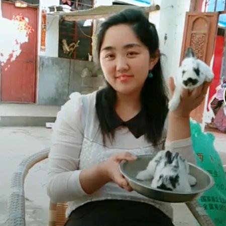 葡萄树下（兔姐兔肉店）