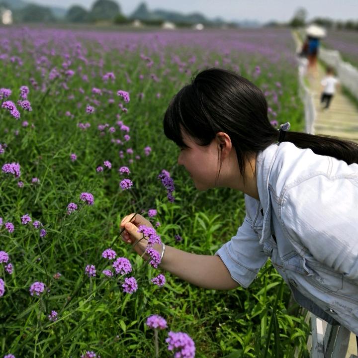 小确幸