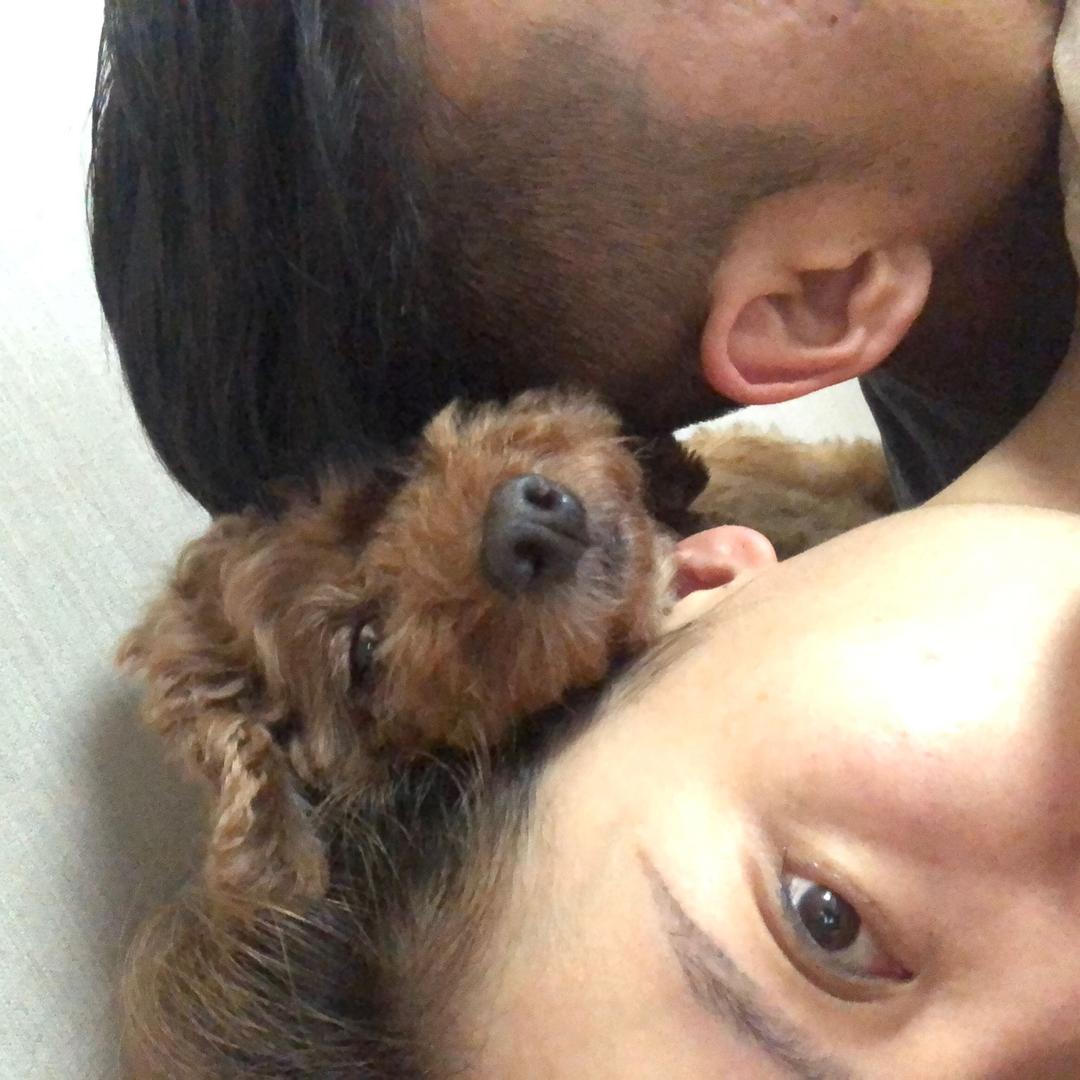 常甜老蒙