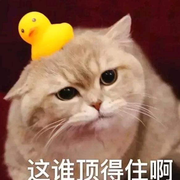 独行侠
