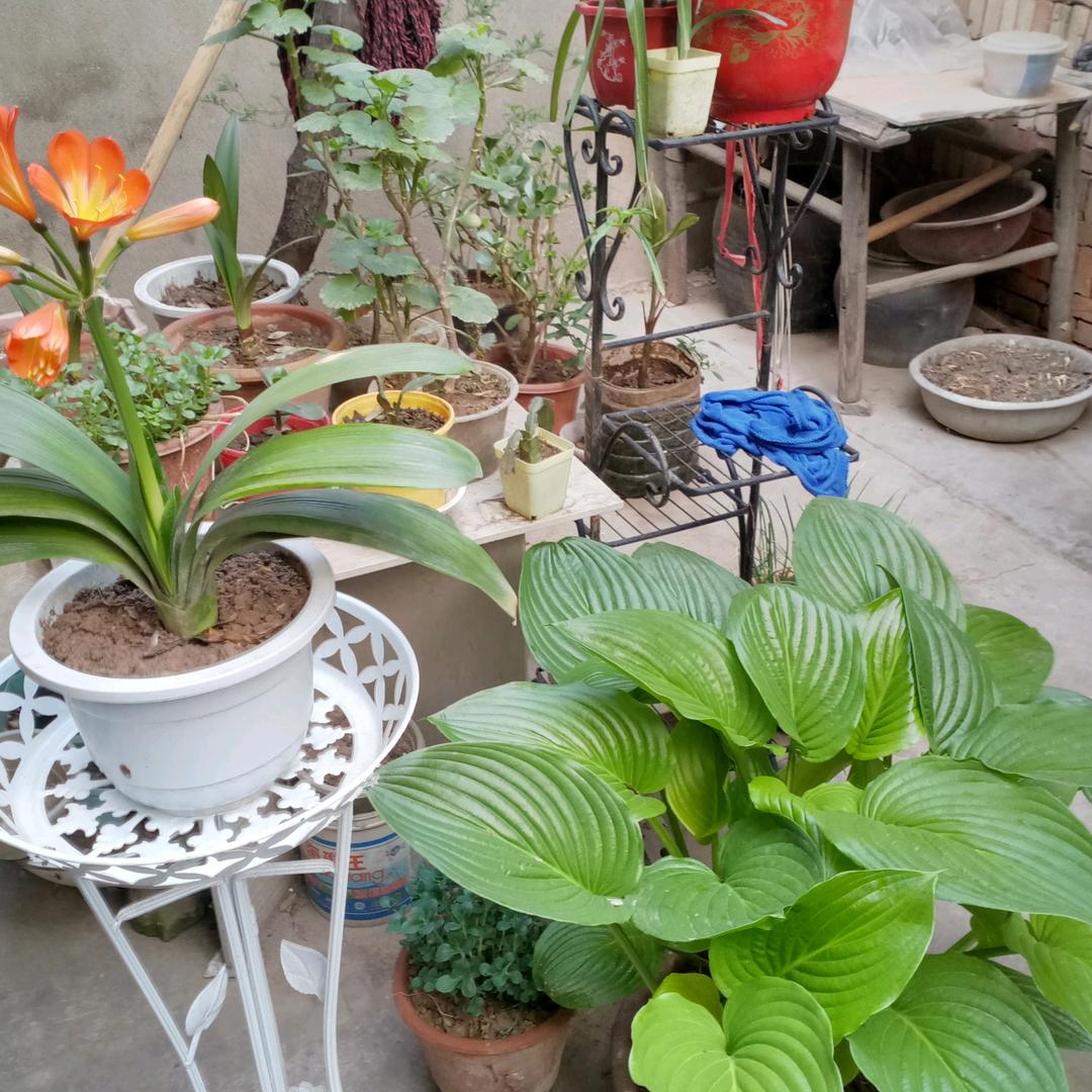 活力无限（富平刘集全瓷橱柜）