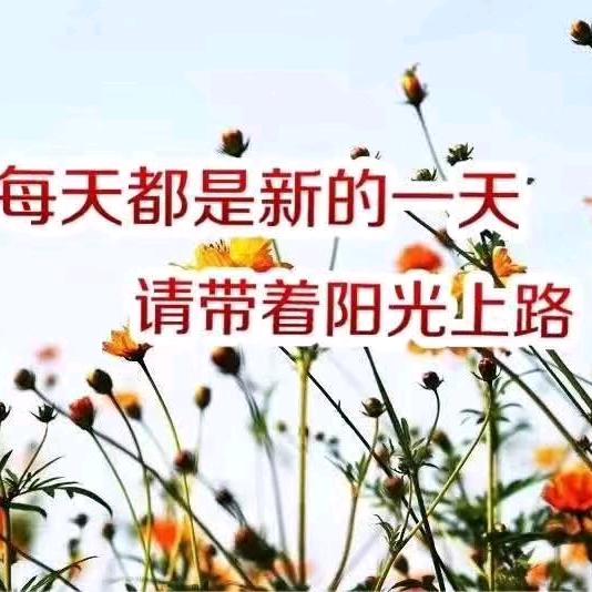 开心快乐每一天