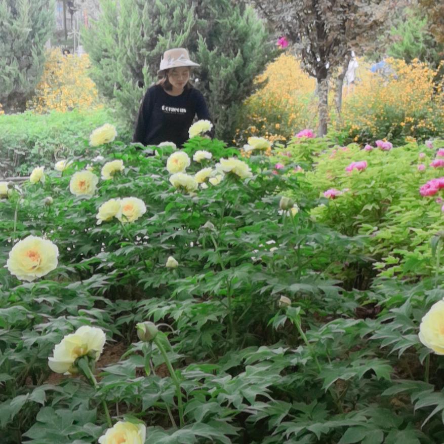 李月（喜临阁私房菜）草湖店