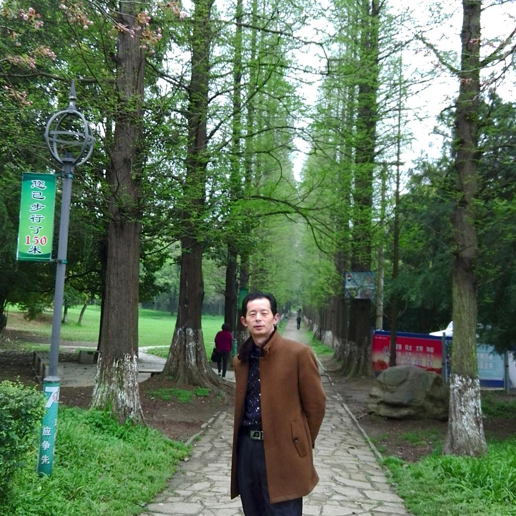 寻梦人生