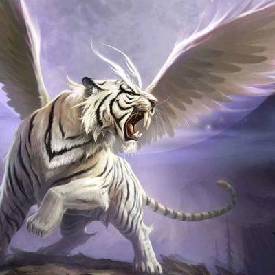 壺覺--獨飲杯茶的寂寞寒冷！🌞🌜