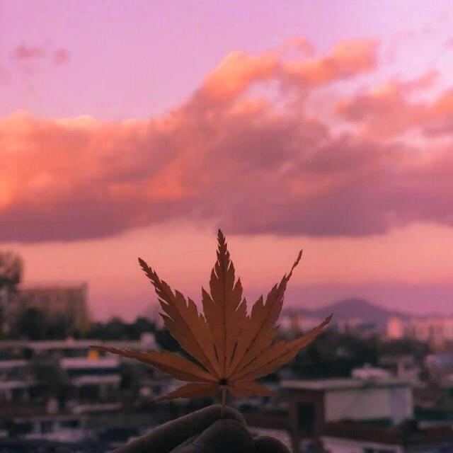 故事终将散场