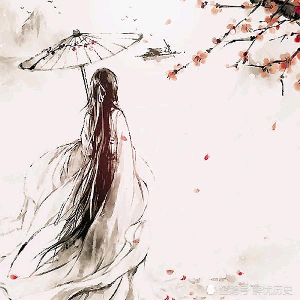 慵懒好奇小猫