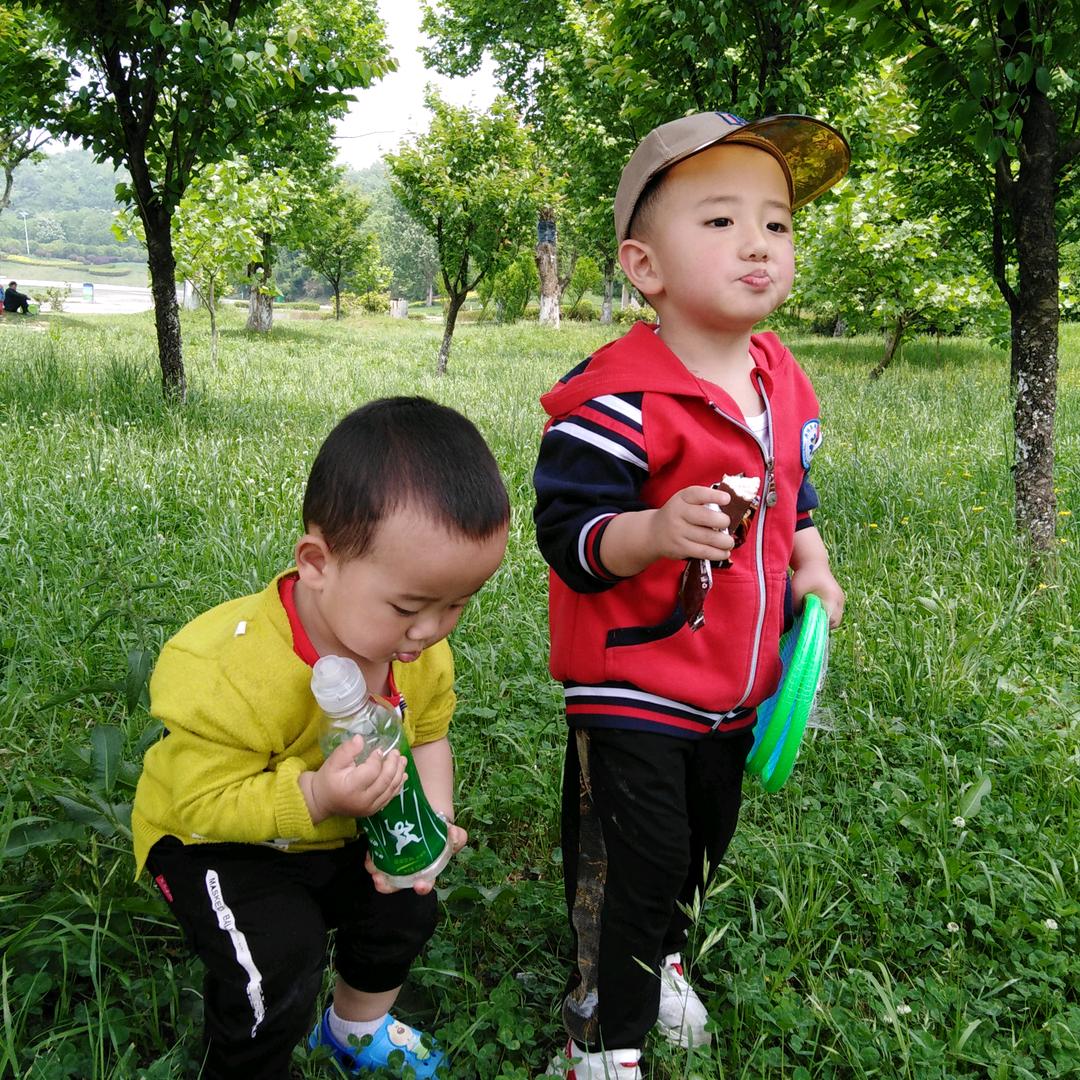 春去春又来