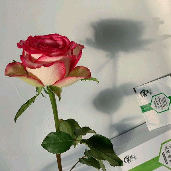 @夏了夏天