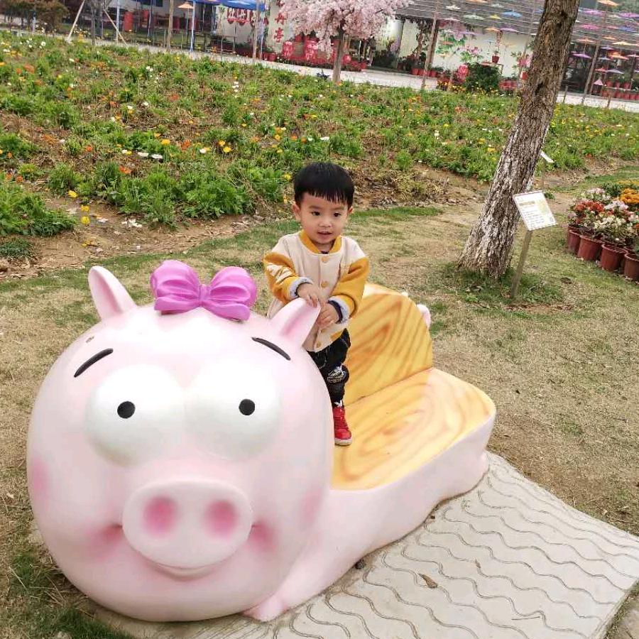 梅姐🌺