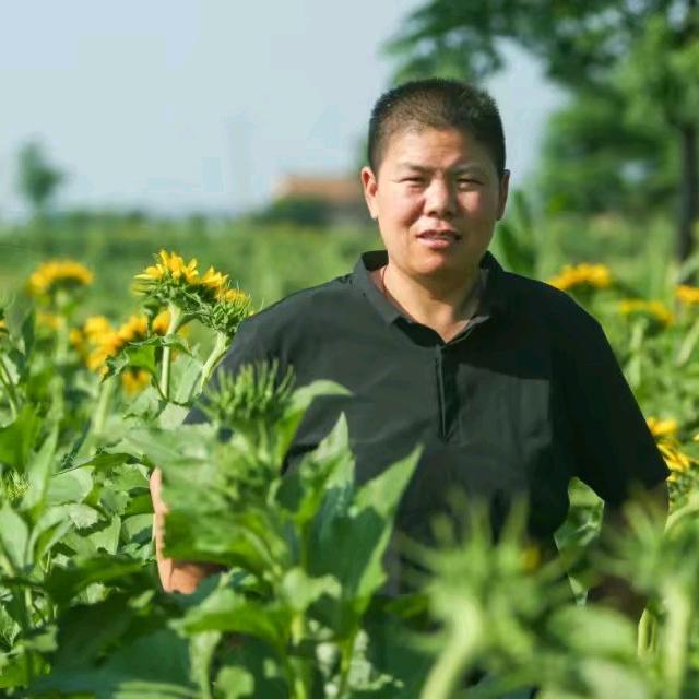 王老五菜部