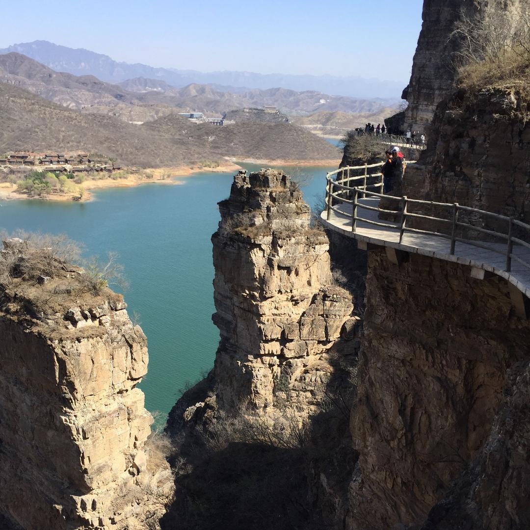 🐍一心一意🐍