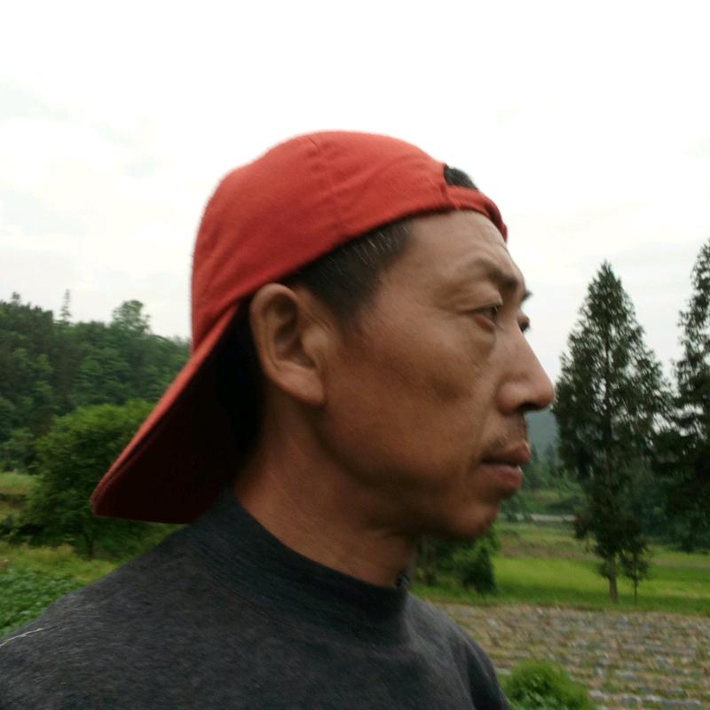 痴人