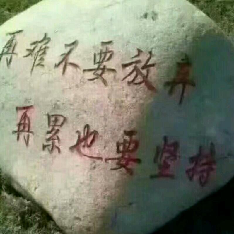 小志