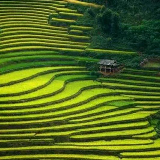 梦中醒来