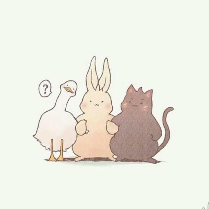 A更上一层楼