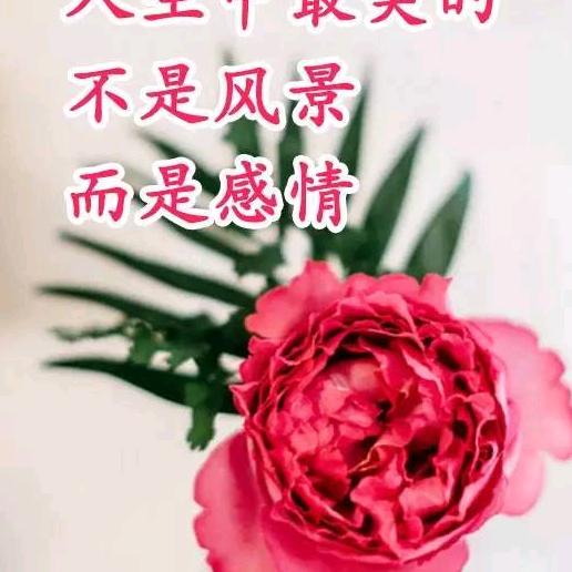 往事不可回首