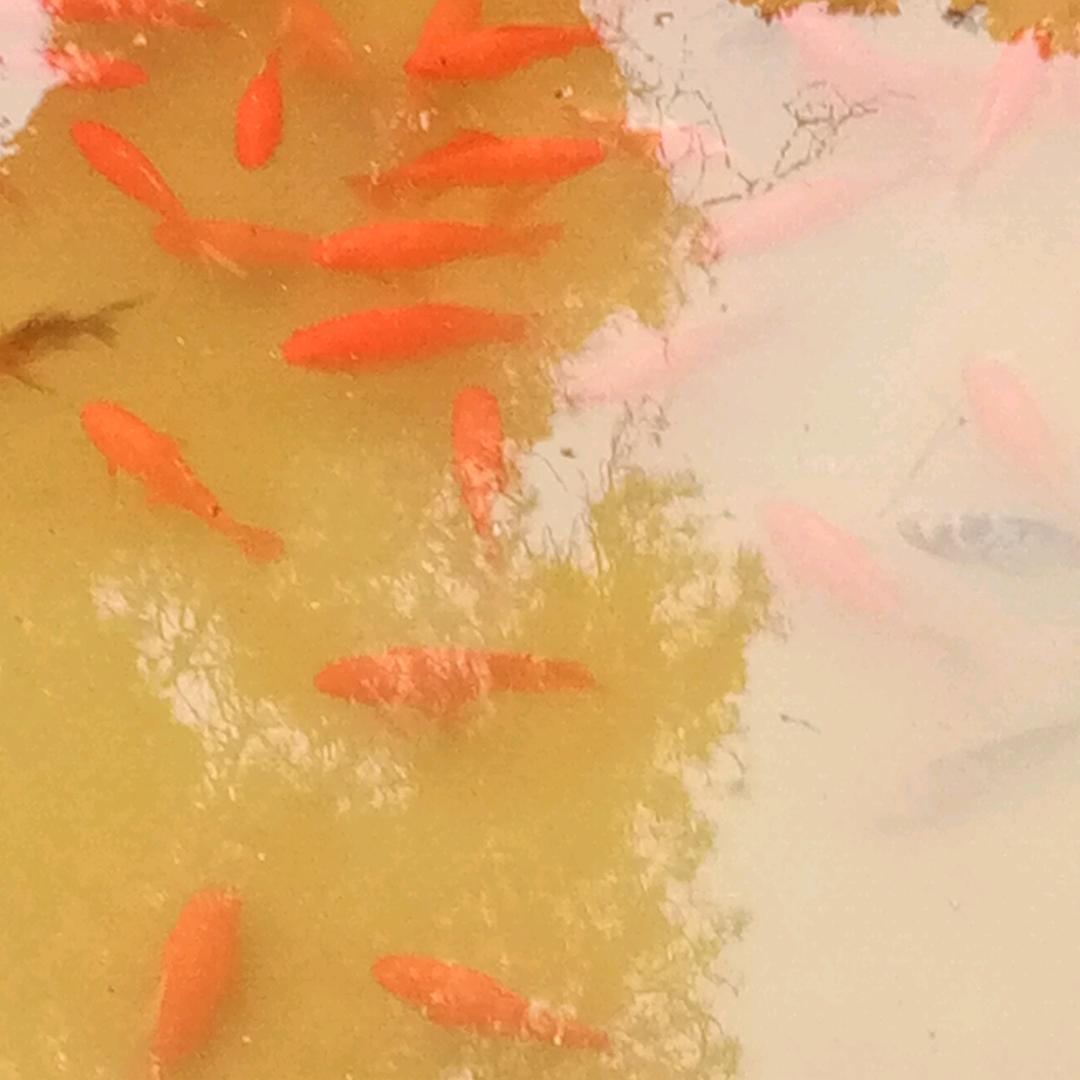 专业室内装修