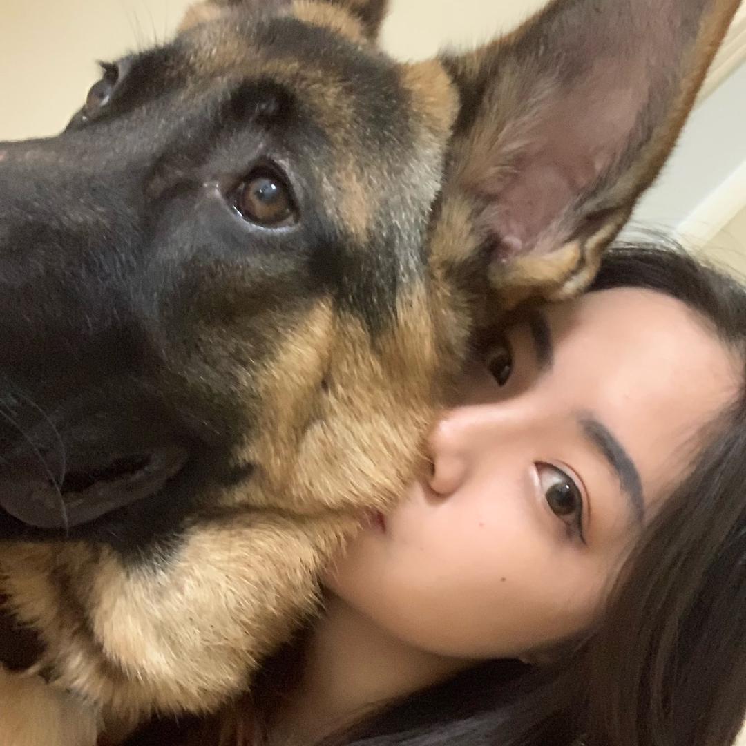 德牧龙哥🐲@抖音