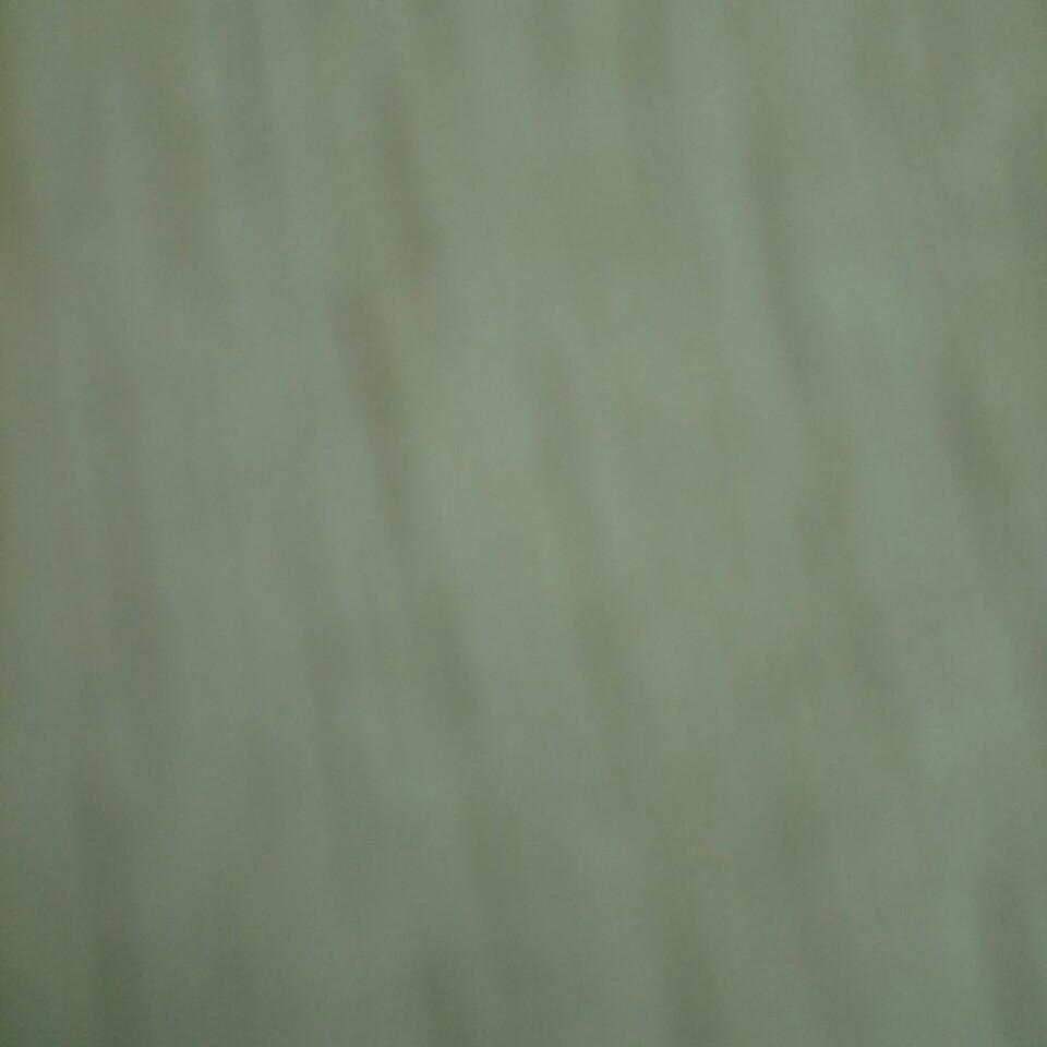 东东东东东东