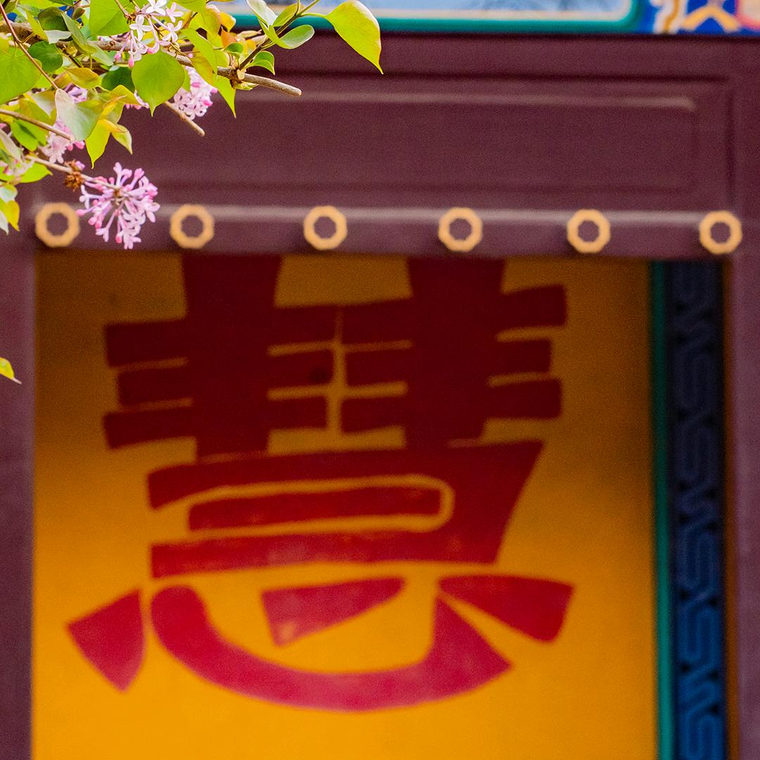 禅悦正觉