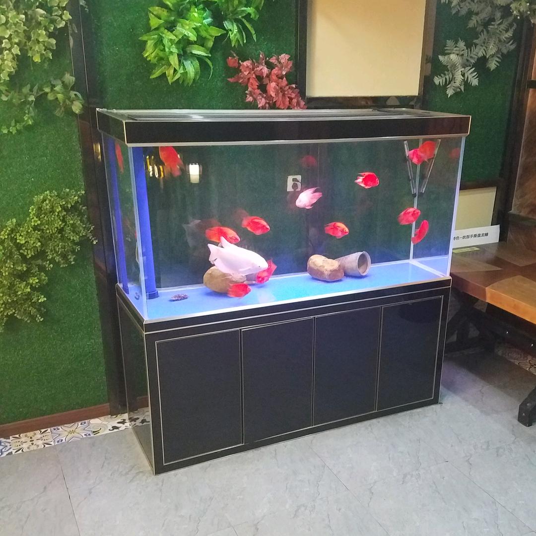 报鸭巴雾
