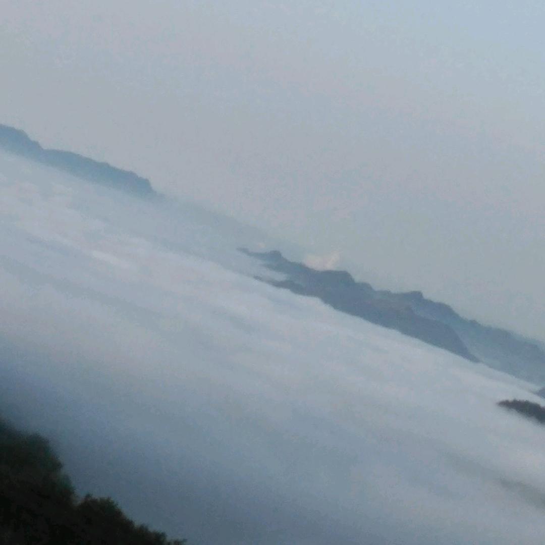 江哥