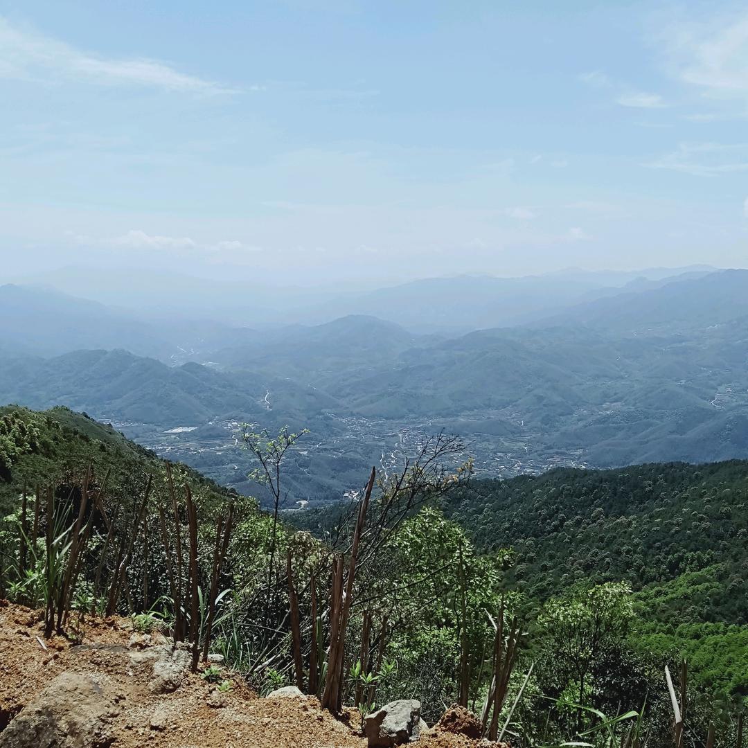 空中飘来一朵云
