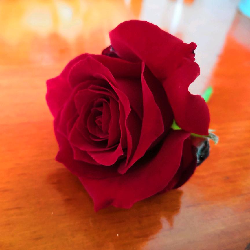 夜猫子烧烤（乌溪店）