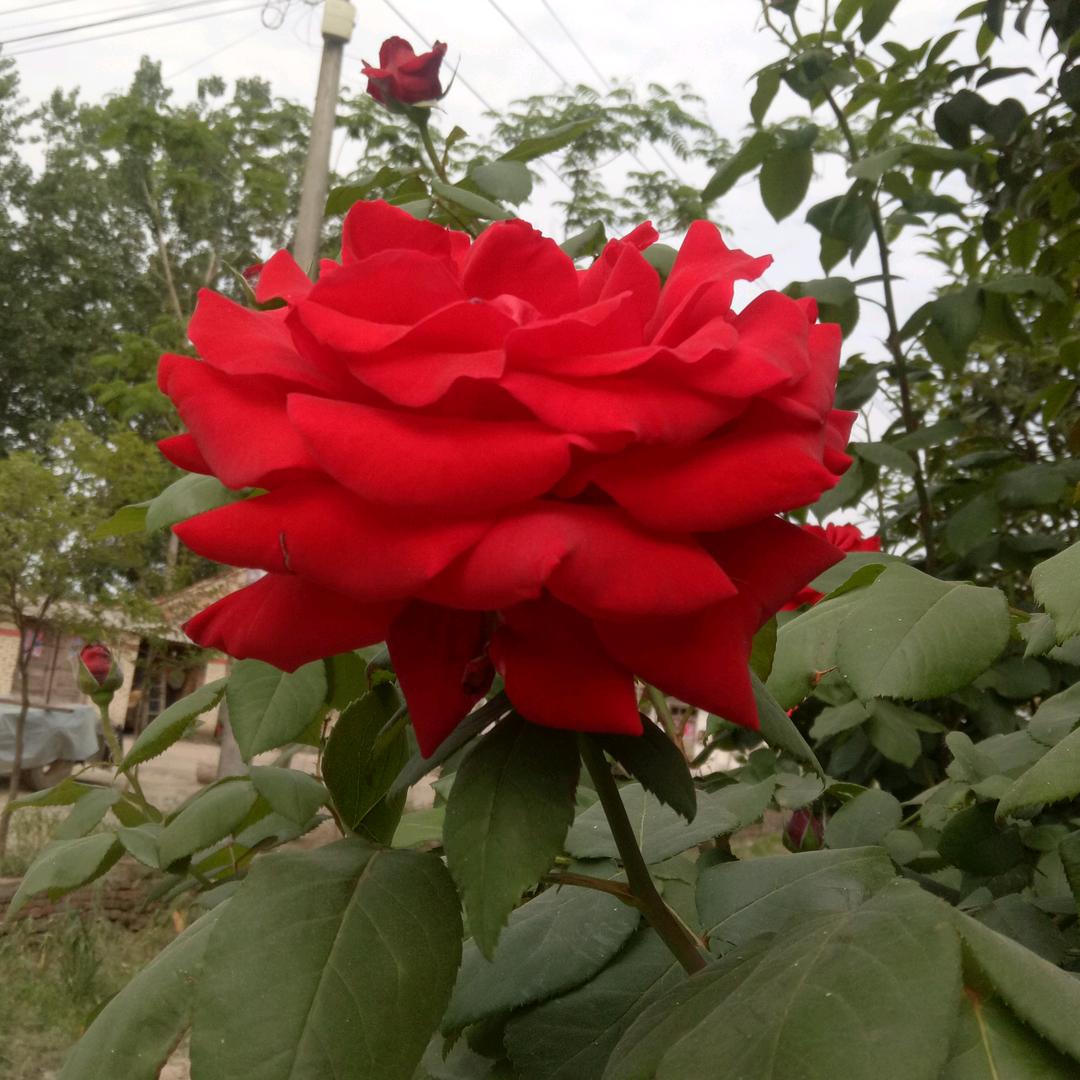 明天更好😍