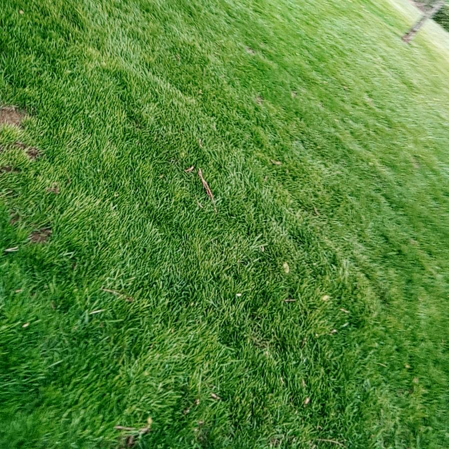 好人一生平安_259224885