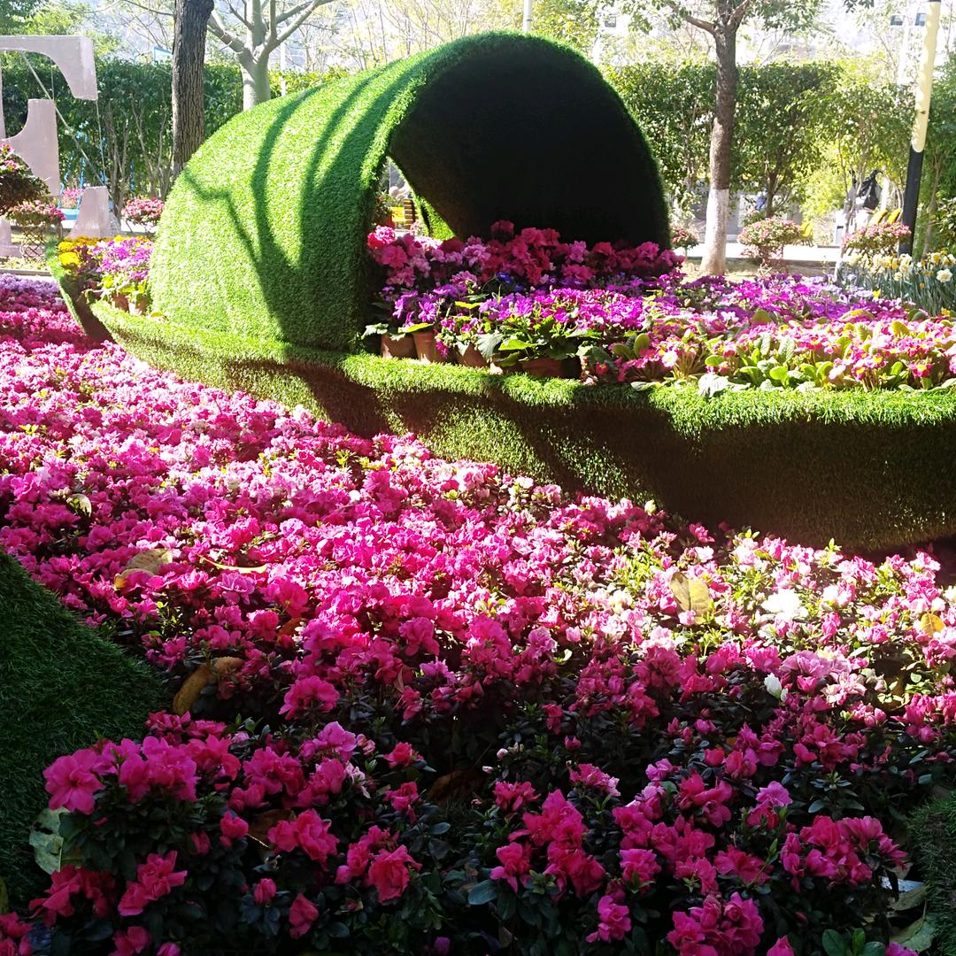 幸福🌹🌹