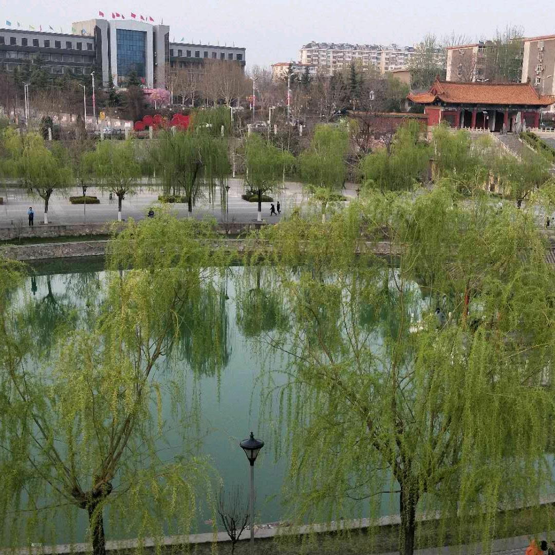 心语
