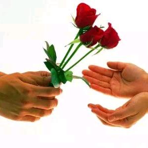 玫瑰传情.鸿雁传书)🛍️🌹🌹