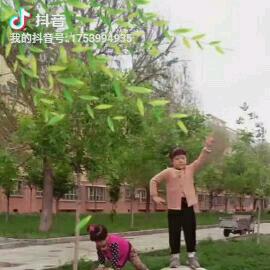 白云。