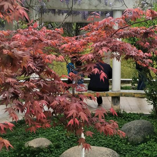 123木木夕