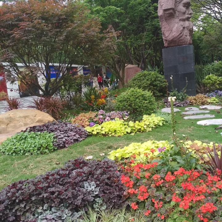 有风有雨
