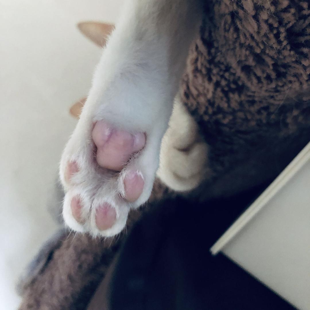 甜甜优选