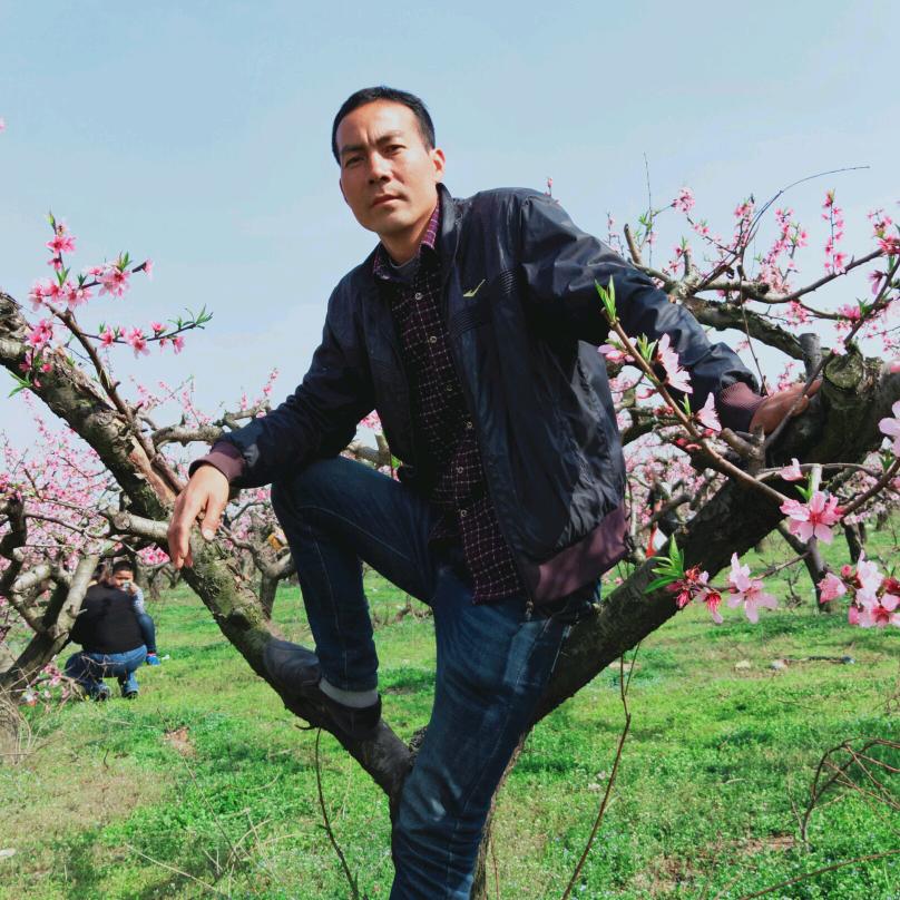 安徽绿韵电动车刘金各