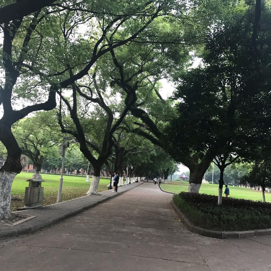 梅笑风雪中
