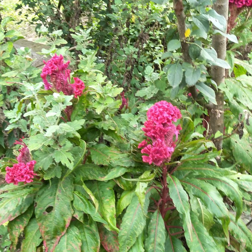 相遇不易🌷🌷