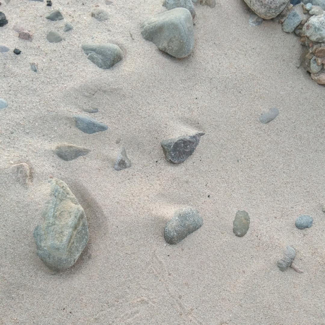 每一天，为明天