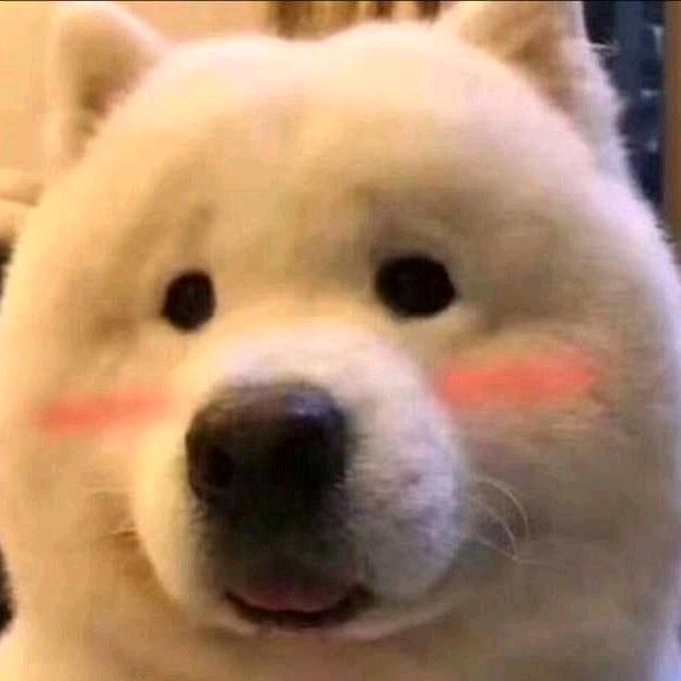 十方满月