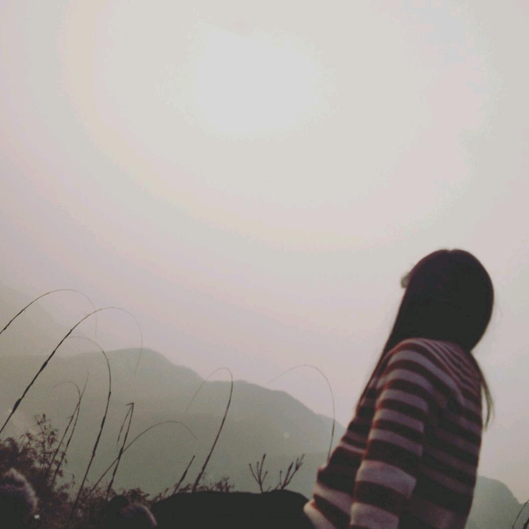 🌻🍃咿呀咿呀哟🐬